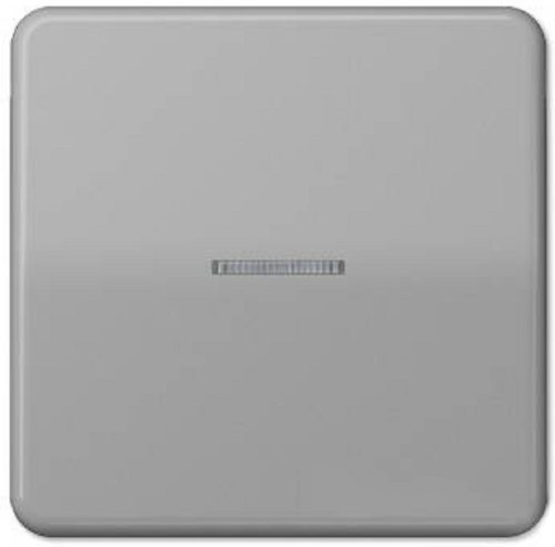 Лицевая панель Jung CD500 для 1-кл. выключателя с подсветкой серый фото Лицевая панель Jung CD500 для 1-кл. выключателя с подсветкой серый картинка